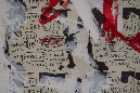 JM_Basquiat_nov2018_%20(49)