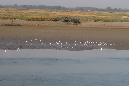 16sept_BaiedeSomme%20(19)