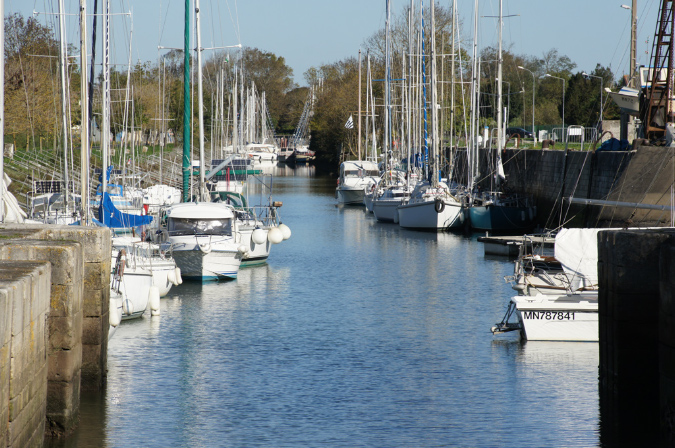 Ronce_octobre_2012_24
