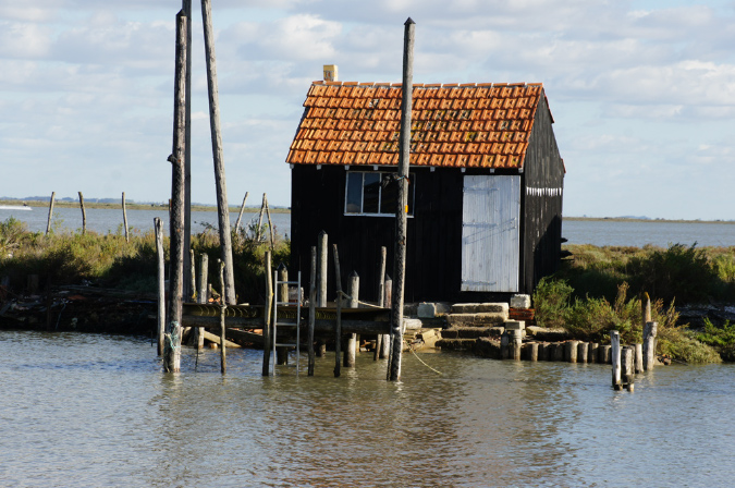 Ronce_octobre_2012_34