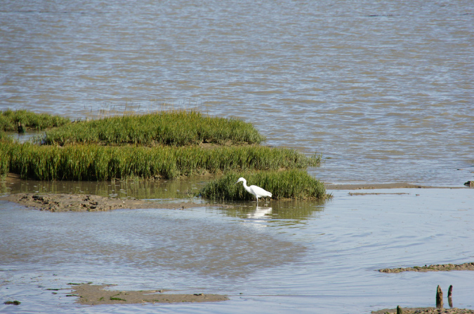 Ronce_octobre_2012_79