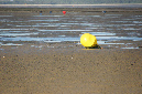 Ronce_octobre_2012_15