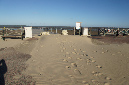 Ronce_octobre_2012_18