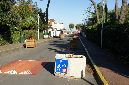 Ronce_octobre_2012_19