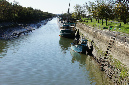 Ronce_octobre_2012_22