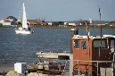 Ronce_octobre_2012_31