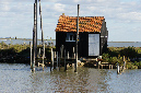 Ronce_octobre_2012_34
