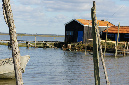 Ronce_octobre_2012_36