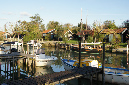 Ronce_octobre_2012_42