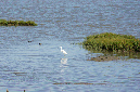 Ronce_octobre_2012_80