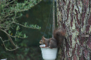 Ronce_octobre_2012_86