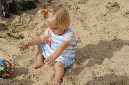 Ronce_aout_2012_082