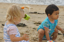 Ronce_aout_2012_091