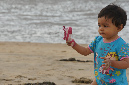 Ronce_aout_2012_095