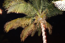24_decembre_2013_041