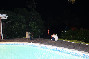 24_decembre_2013_044