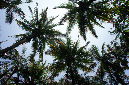 07_janv_2013_053