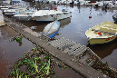 3_janvier_2014_02