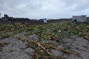 3_janvier_2014_15