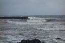 3_janvier_2014_39