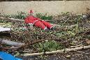 3_janvier_2014_51