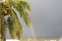 3_janvier_2014_72