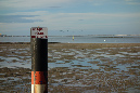 28nov_2014_ronce_02