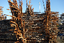 30nov_2014_ronce_29