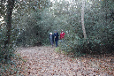 30nov_2014_ronce_44