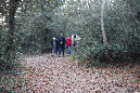 30nov_2014_ronce_45