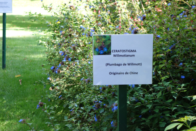 20sept_2014_Elysee014