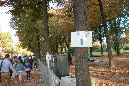 20sept_2014_Elysee008