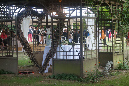 5_juillet_2014_Mariage%20Claire_084