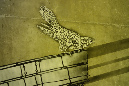 04oct_2014_nuit_blanche33