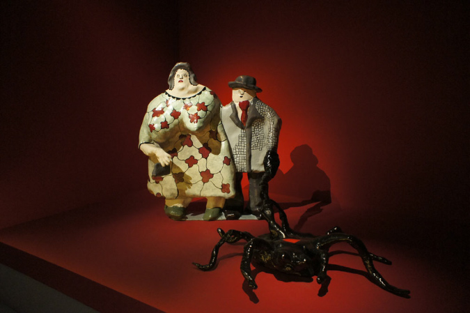 05janvier_2015_SaintPhalle_08