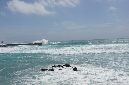 18janvier_2015_08