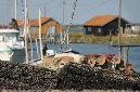 1er_aout_2015_65