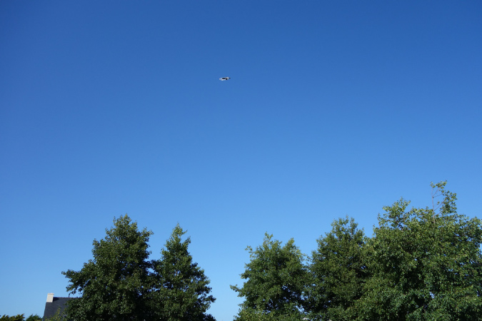 Lilia_aout_2015_144