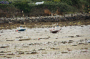 Lilia_aout_2015_001