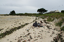 Lilia_aout_2015_004