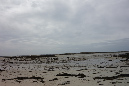 Lilia_aout_2015_052