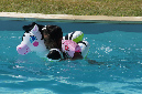 Lilia_aout_2015_130