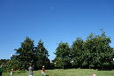Lilia_aout_2015_143