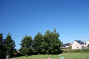 Lilia_aout_2015_149
