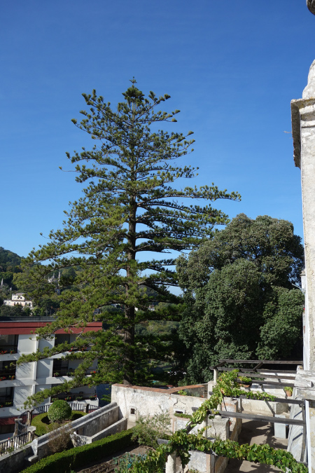 Lisbonne_sept2015_160