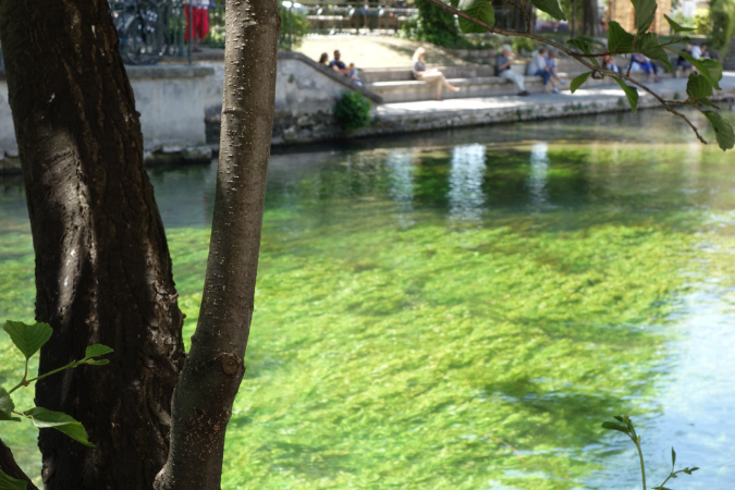 Luberon_fin-mai_2015_24