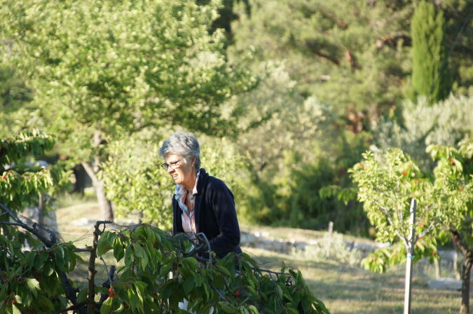Luberon_fin-mai_2015_93