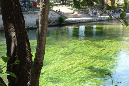 Luberon_fin-mai_2015_24