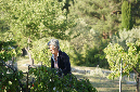 Luberon_fin-mai_2015_93