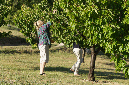 Luberon_fin-mai_2015_94